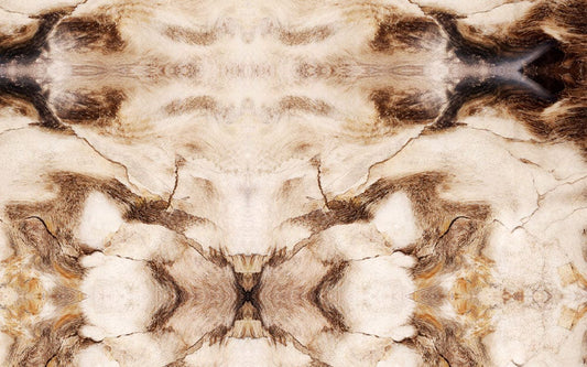 Brown Rendering Marble Wall Murals