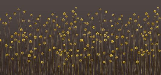 Brown Starry Dandelion Wall Murals