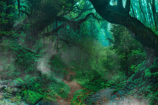 Ancient Forest Wall Murals