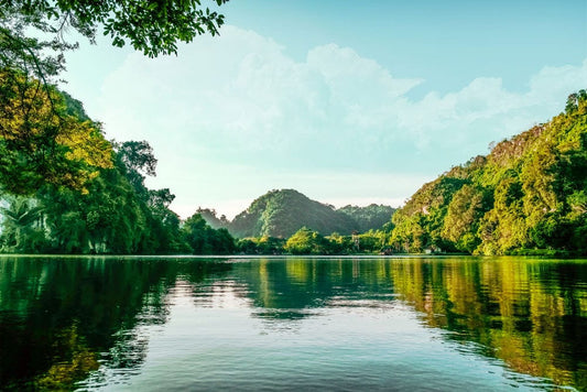 Green Mountain Wonderland Wall Murals