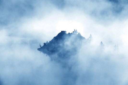 Mysterious Foggy Forest Wall Murals