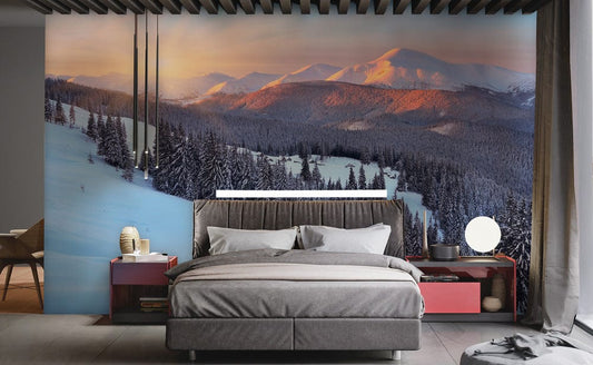 Forest under Sunshine Wall Murals