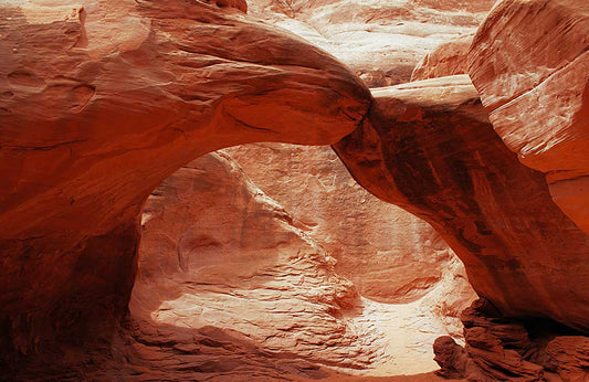 Animal Shaped Canyon Wall Murals
