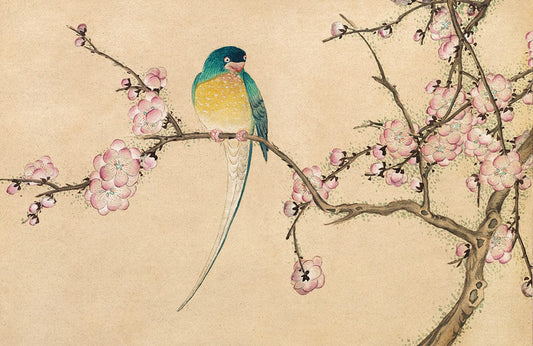 Bird with Blossoms Wall Murals