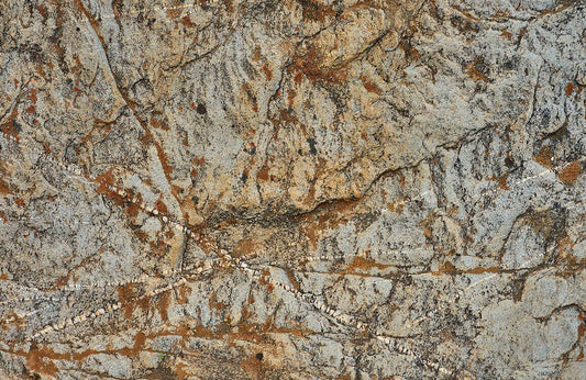 Natural Texture Rock Wall Murals