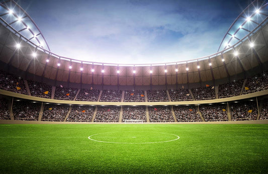 Stadium at Night Wall Murals