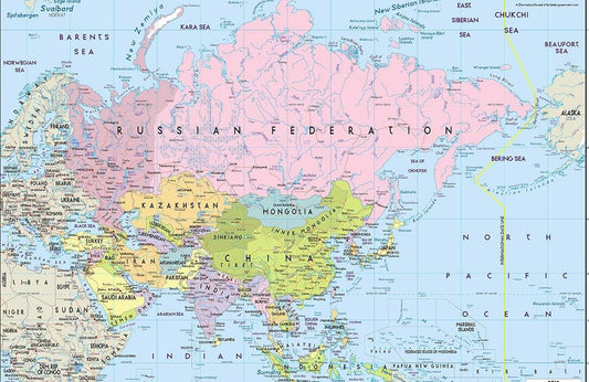 Part of the World Wall Murals
