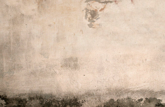 Beige Stucco Wall Murals