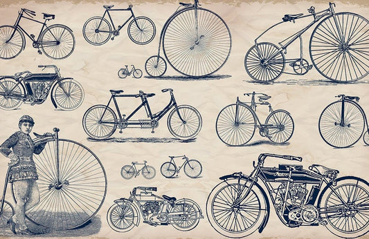 Bicycle Revolution Wall Murals