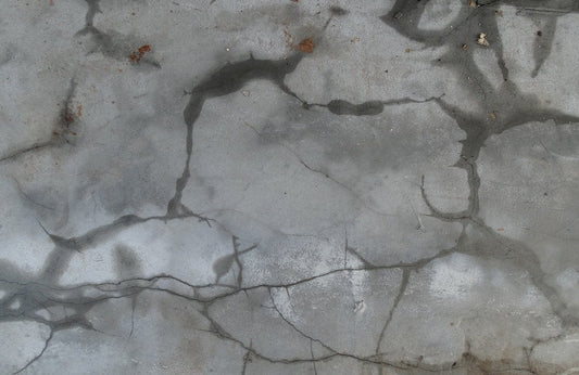 Bionic Grey Wall Murals