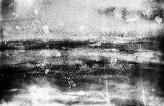 Black & White Frosted Wall Wall Murals