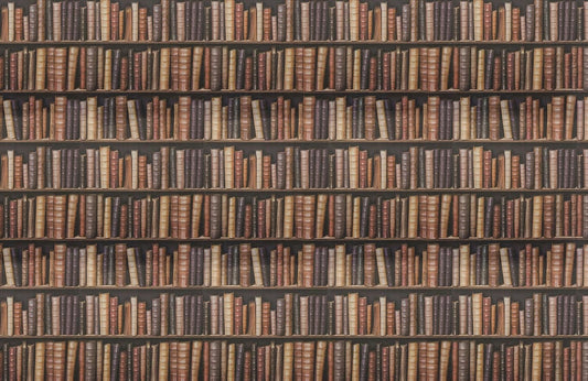 Book Shelf Wall Murals