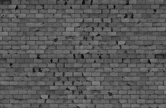 Brick Track Wall Murals