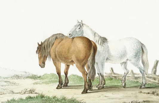 Brown and White Wall Murals