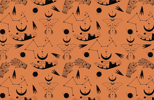 Butterfly Divination Wall Murals