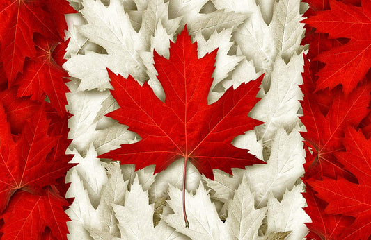 Maple Leaf Flag Wall Murals