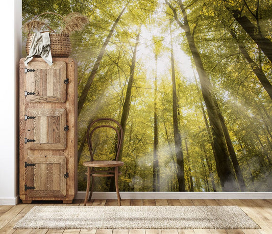 Forest Glow Wall Murals