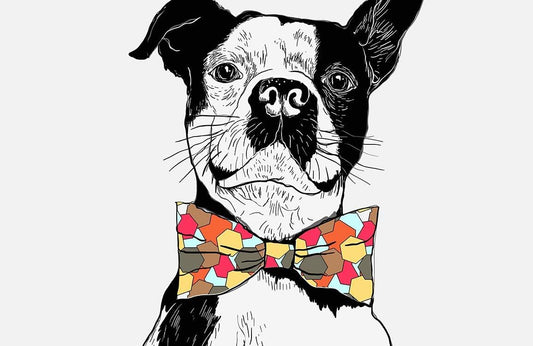 Gentleman Dog Wall Murals