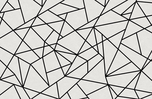 Geometrical Line Wall Murals