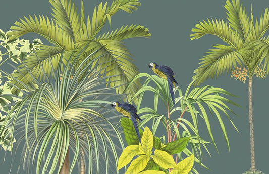 Jungle & Birds Wall Murals