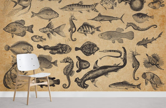 Ocean Fish Wall Murals