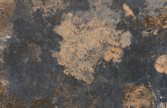 Mars Surface Wall Murals