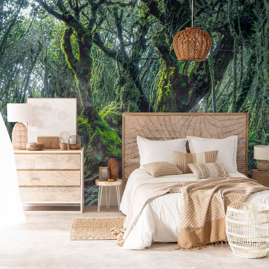 Mossy Forest Wall Murals
