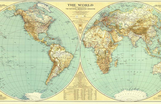 The World Wall Murals