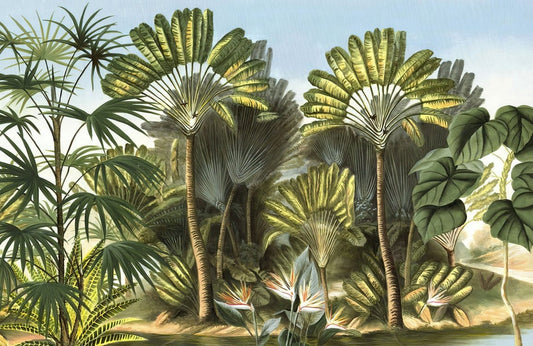 Tropical Palms Wall Murals