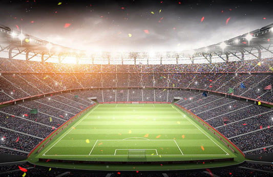 Ribbon in Stadium ll Wall Murals