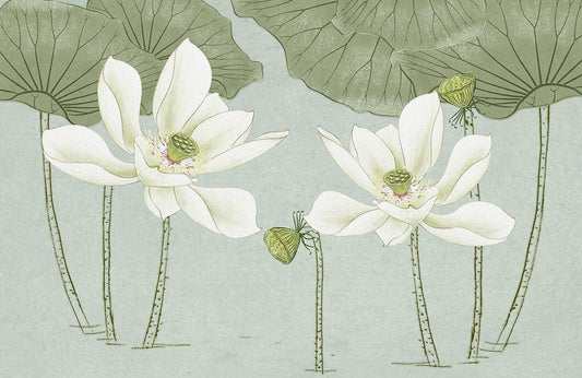 White Lotus Wall Murals