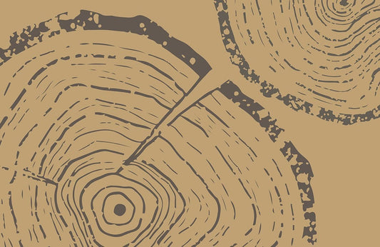 Tree Ring Wall Murals