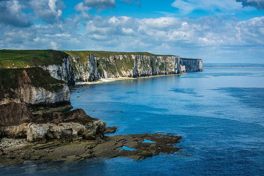 Bempton Cliffs Wall Murals