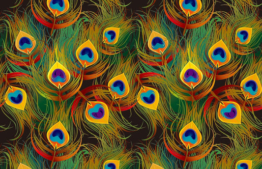 Colorful Peacock Feather Wall Murals