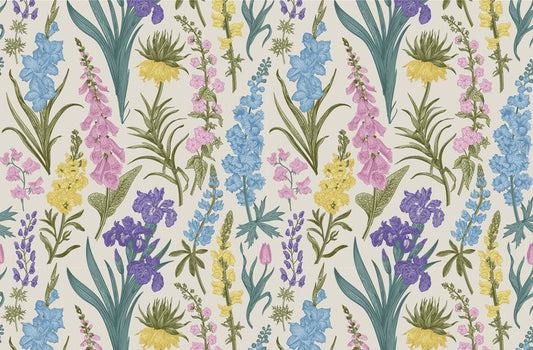 Colourful Lavenders Wall Murals