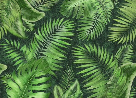 Bottle Green Tropical leaves Wall Murals