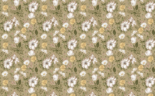 Fully Opened Daisies Wall Murals