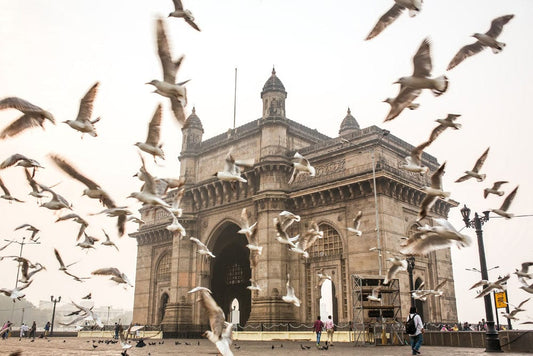 Gateway of India Wall Murals