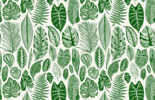 Green Tropical Leaves Wall Murals