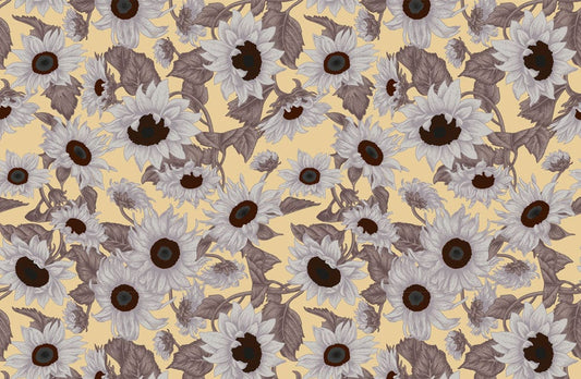 Grey Daisies Wall Murals