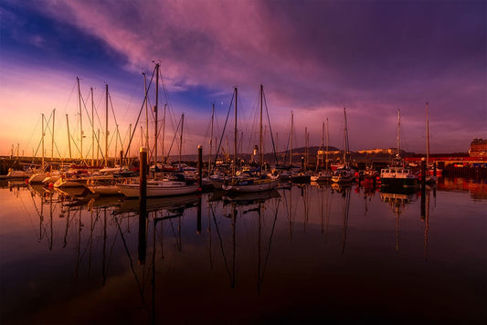 Harbour under Sunset Wall Murals