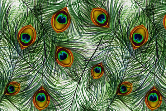 Interlocking Peacock Feather Wall Murals