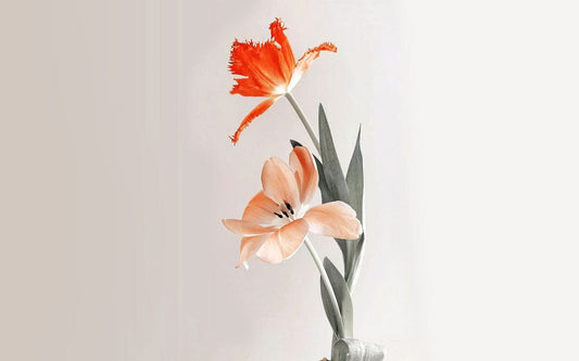 Matching Lilies Wall Murals