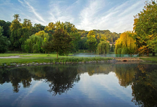 Natural Park Wall Murals