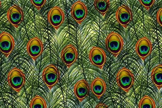 Straight Peacock Feather Wall Murals