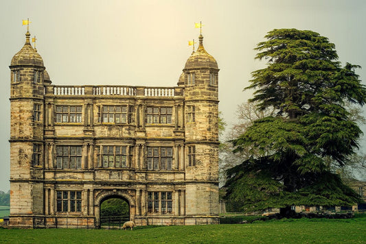 Tixall Gatehouse Wall Murals