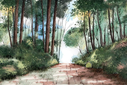 Comic Forest Path Wall Murals