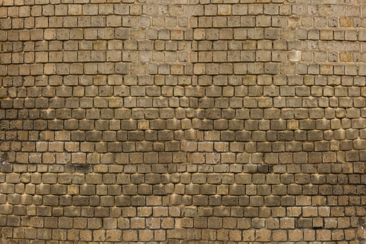 Old Brick Wall Murals