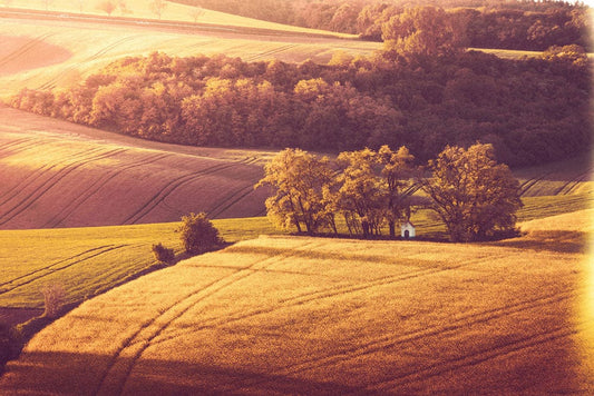 Autumn Farmland Wall Murals