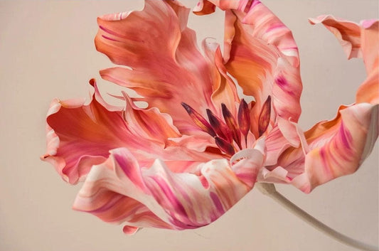 Pastel Parrot Tulip Wall Murals